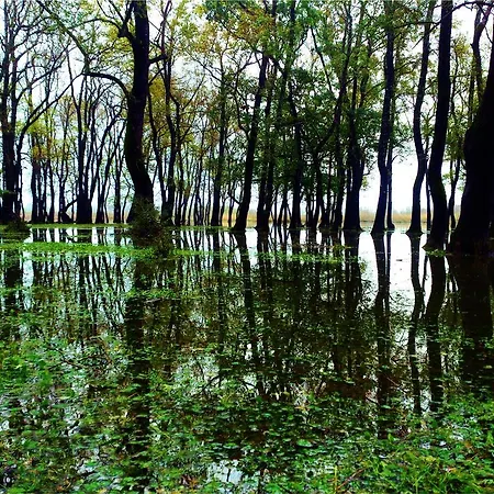 Igneada Parlak Отель