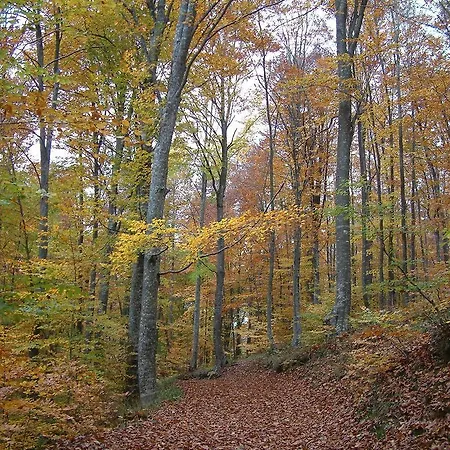 Igneada Parlak Kirklareli