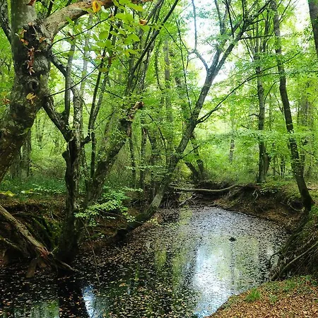 Отель Igneada Parlak Kirklareli